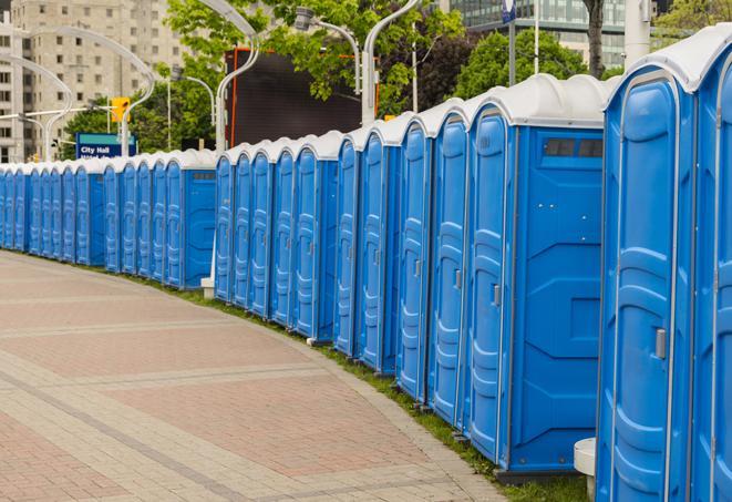 Seasonal porta potty units set up at a Roxboro, North Carolina venue